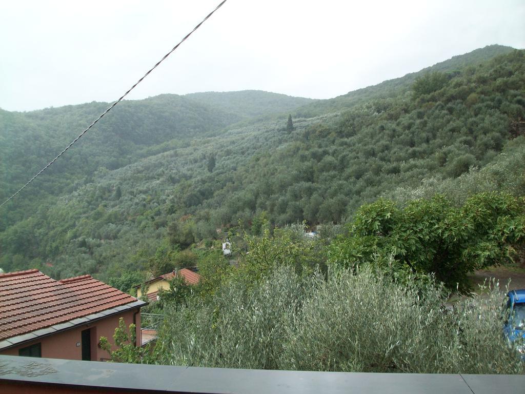 Piccolo Rifugio Nel Verde Chiusavecchia Kamer foto