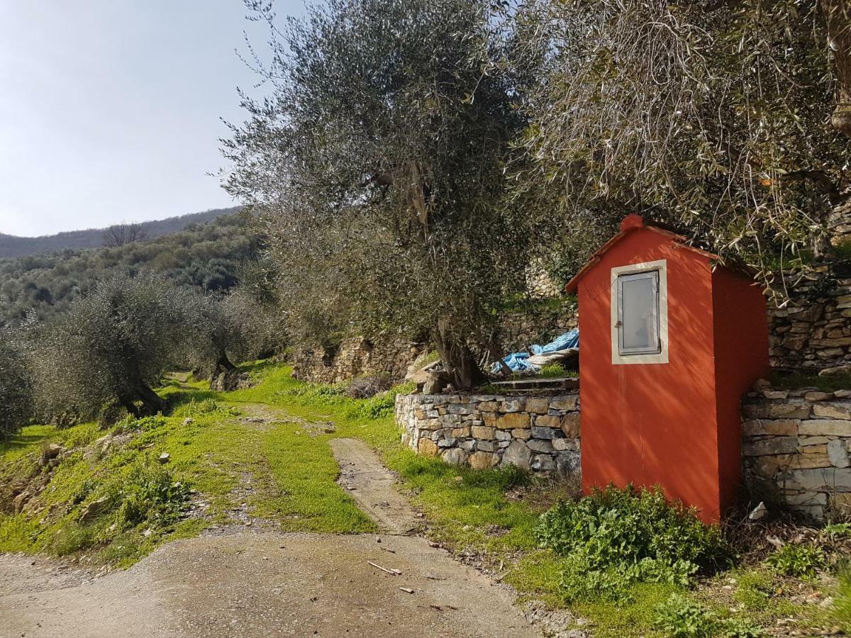 Piccolo Rifugio Nel Verde Chiusavecchia Buitenkant foto